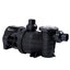 Davey StarFlo DSF 1350 1.85hp Pool Pump - Onga PPP 1500 & Pool Pro Neptune NPP1500 | 2 Year Waranty