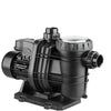 Davey Typhoon T150M 1.5HP Pool Pump - 3 Year Warranty | 50mm/50mm Discharge